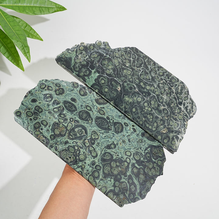 Unique,Natural Crystal Kambaba Jasper Slice