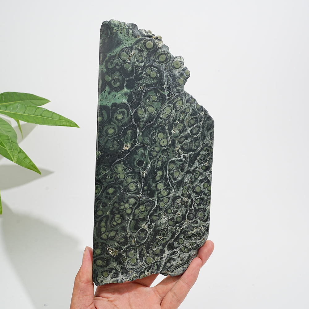 Unique,Natural Crystal Kambaba Jasper Slice