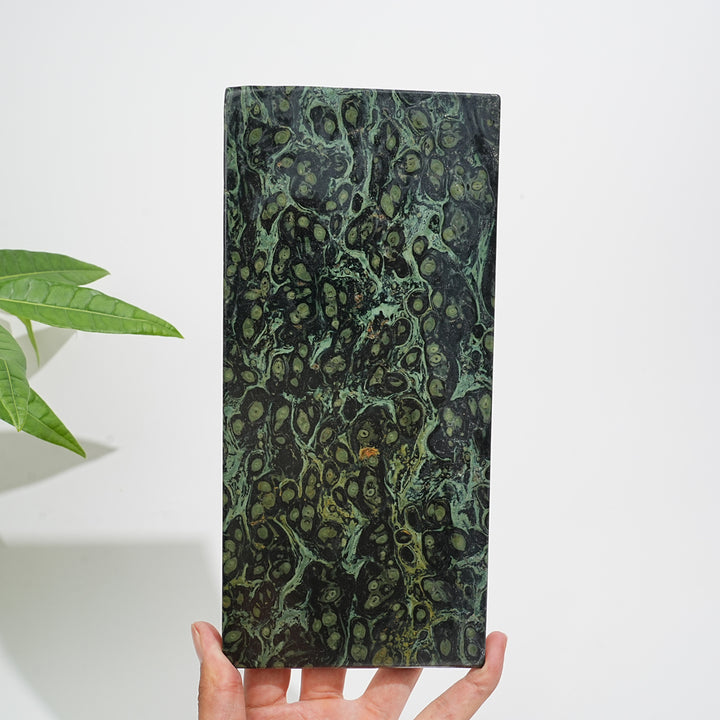 Unique,Natural Crystal Kambaba Jasper Slice