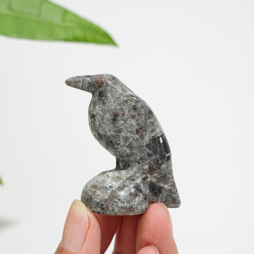 2inch Crow Carving