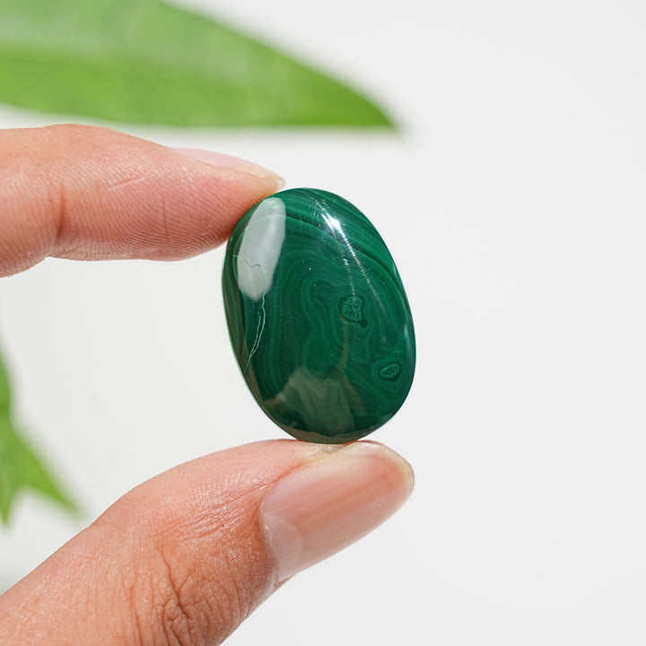 Natural Crystal Malachite Palmstone