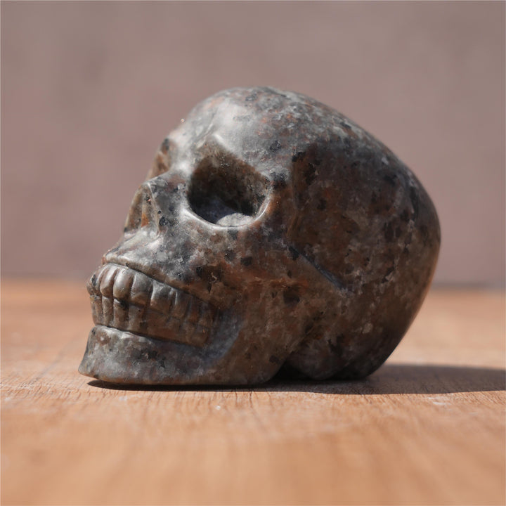 Yooperlite Skull