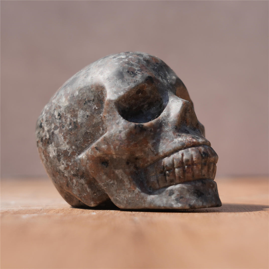 Yooperlite Skull