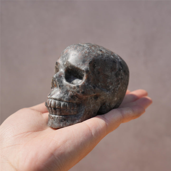 Yooperlite Skull