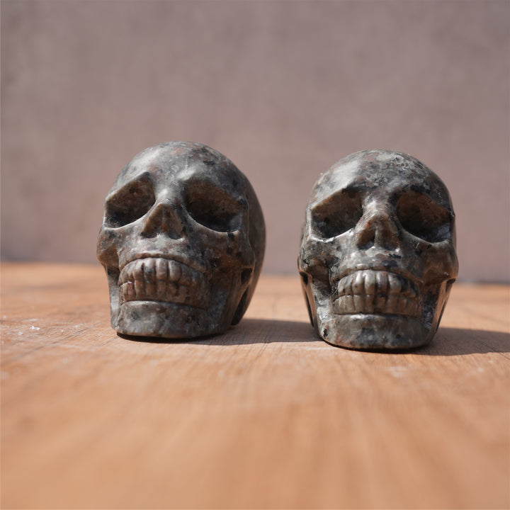 Yooperlite Skull