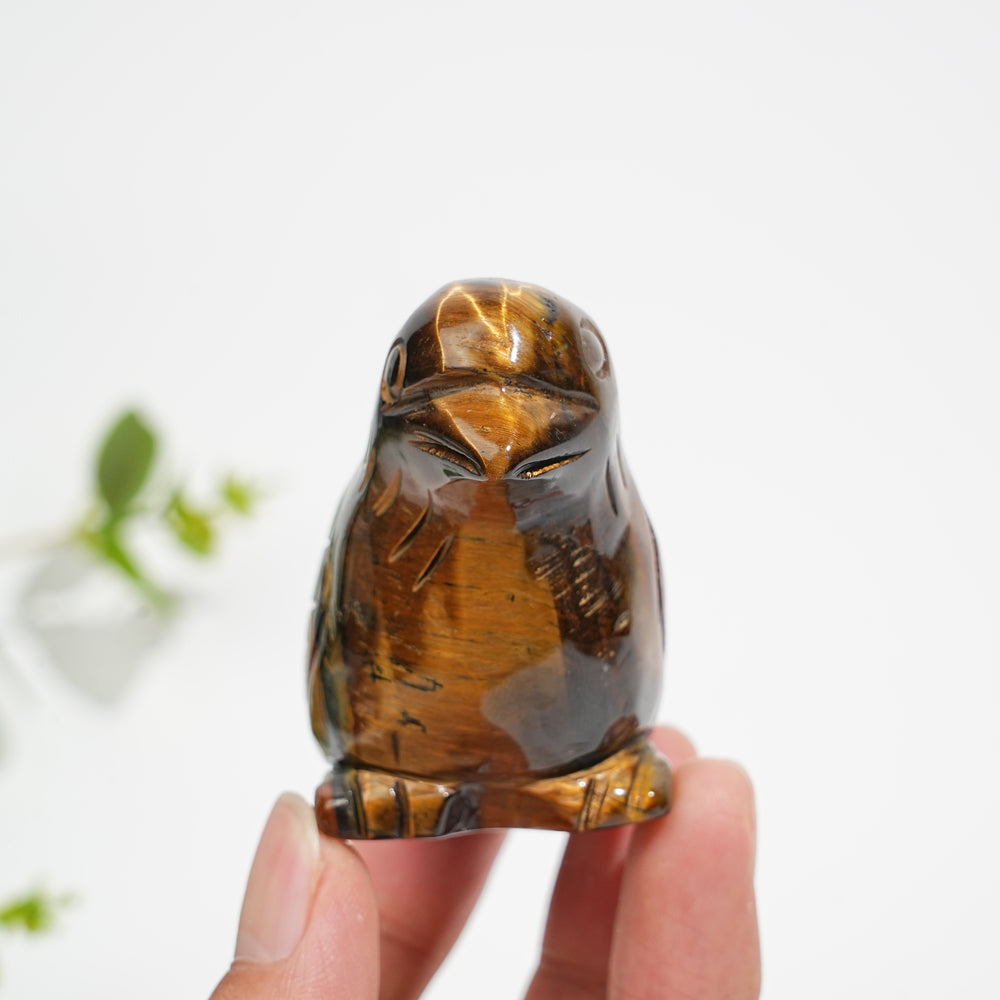 Natural Crystal Tiger Eye Bird Carving