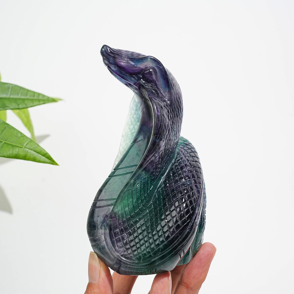 Unique,Natural Crystal Fluorite Cobra Carving