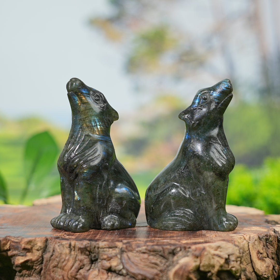 Natural Labradorite Skyward Wolf