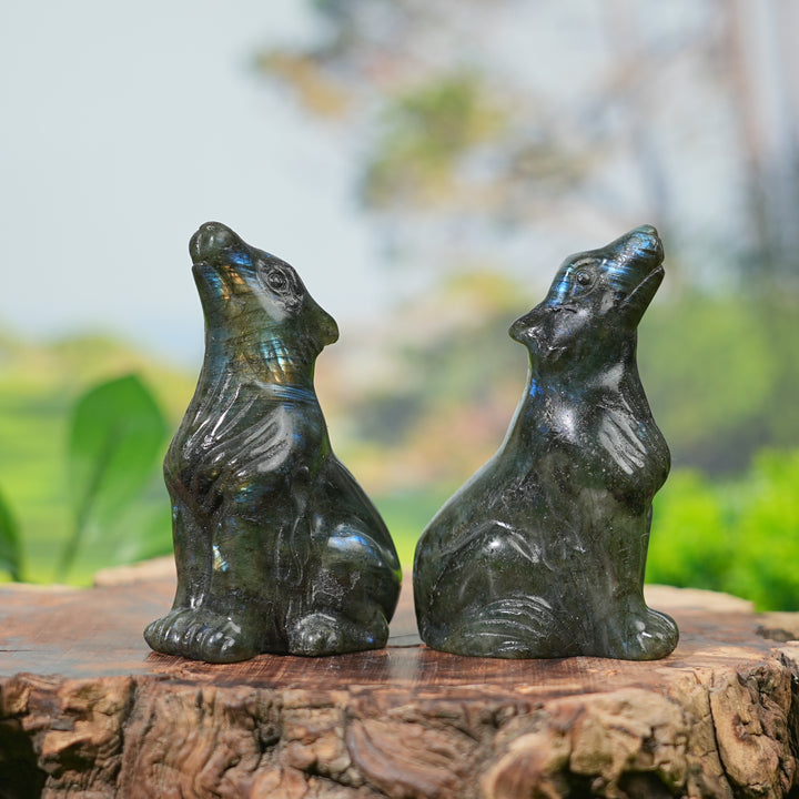 Natural Labradorite Skyward Wolf