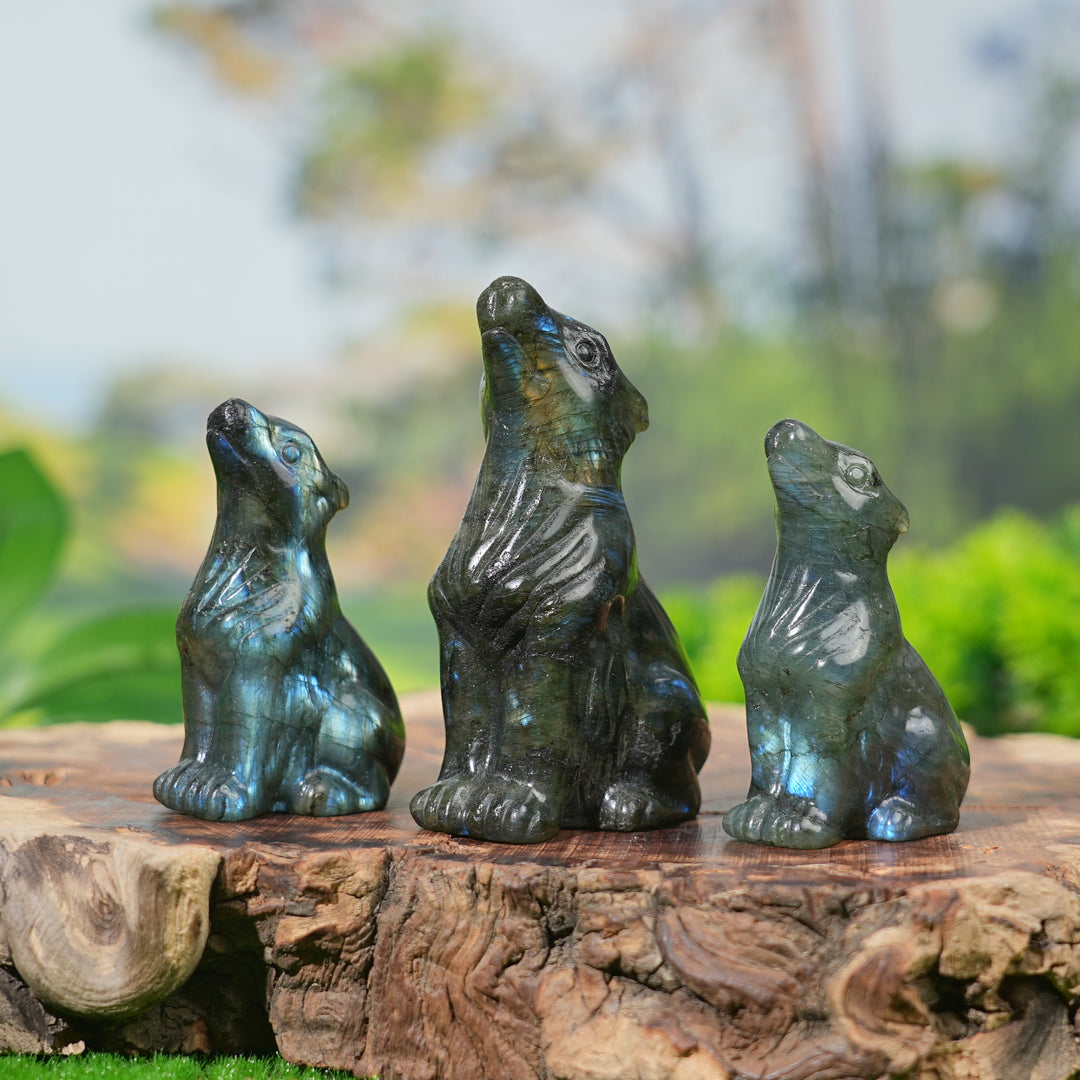 Natural Labradorite Skyward Wolf