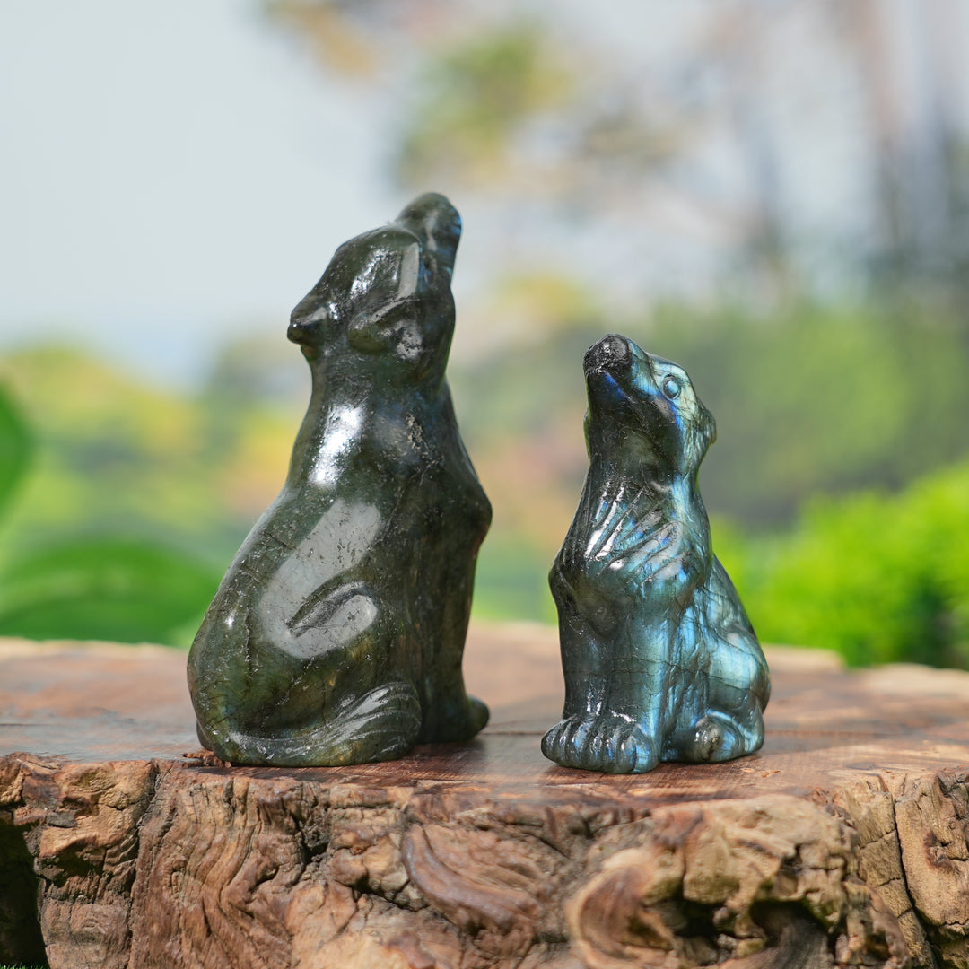 Natural Labradorite Skyward Wolf