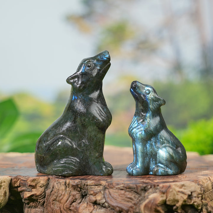 Natural Labradorite Skyward Wolf