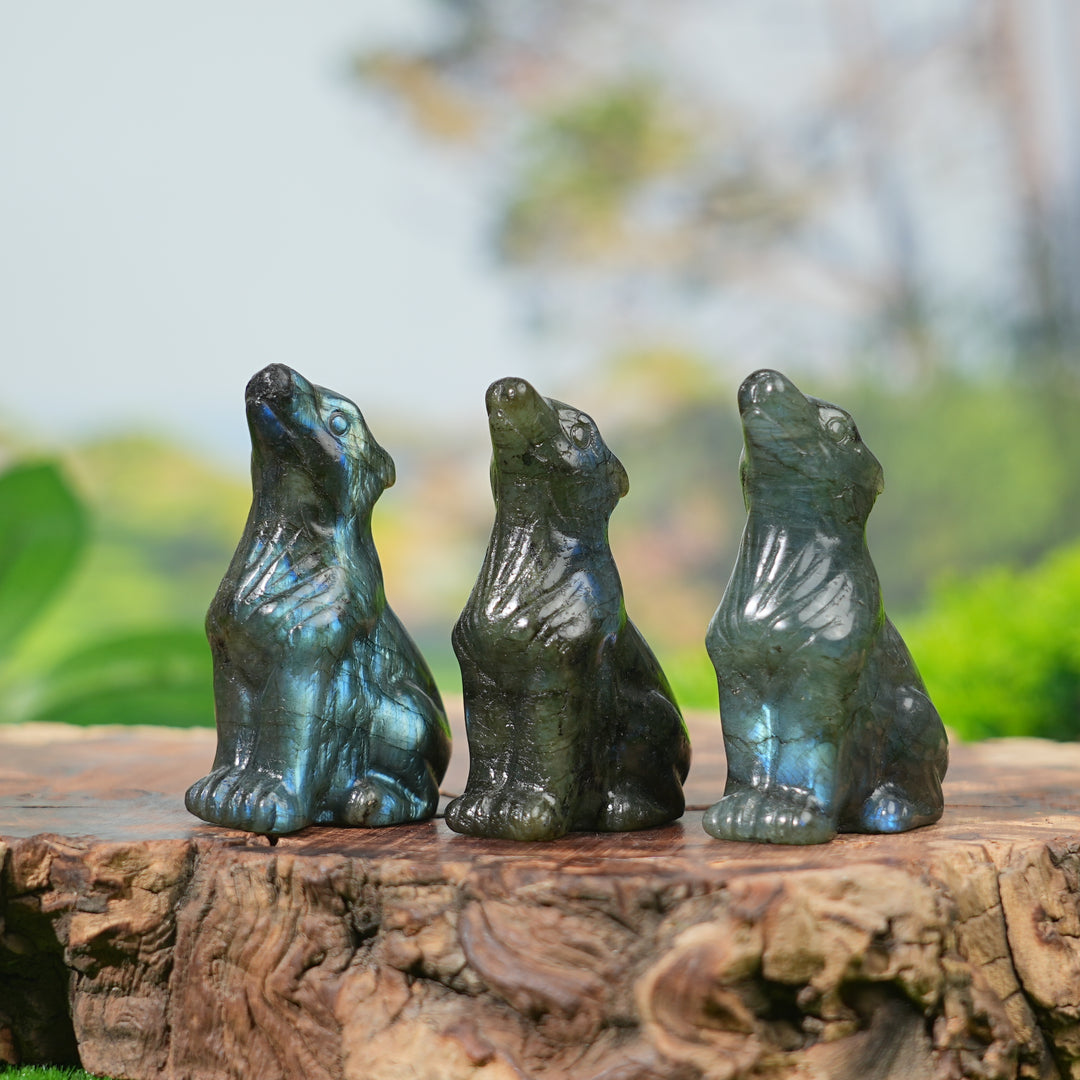 Natural Labradorite Skyward Wolf