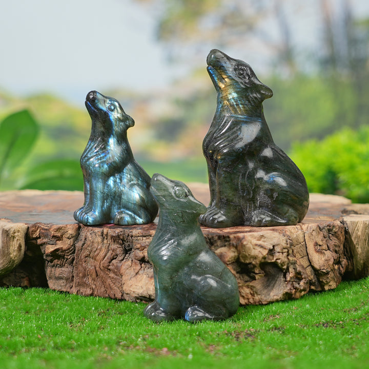 Natural Labradorite Skyward Wolf