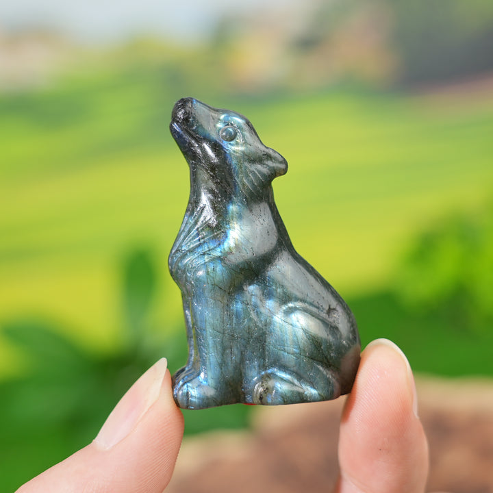 Natural Labradorite Skyward Wolf