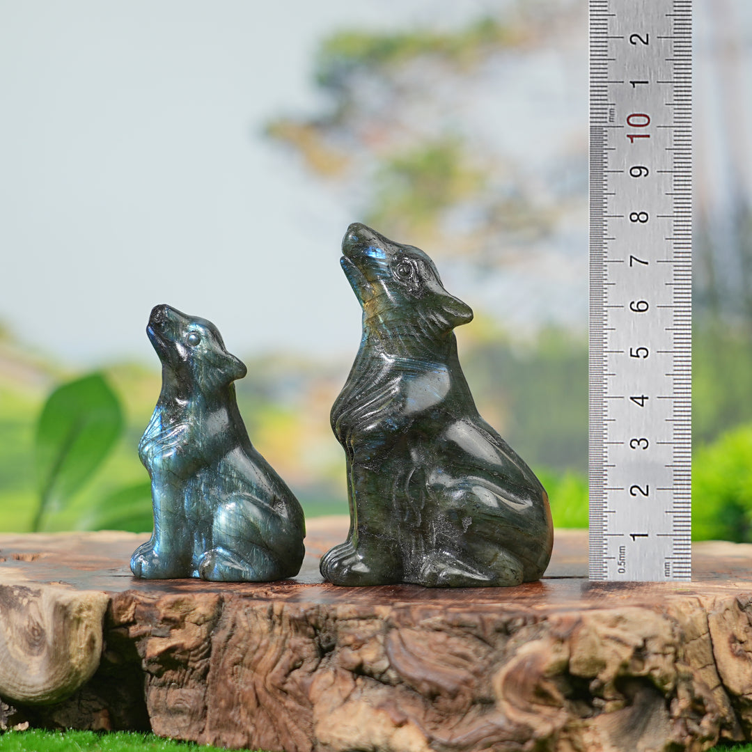 Natural Labradorite Skyward Wolf