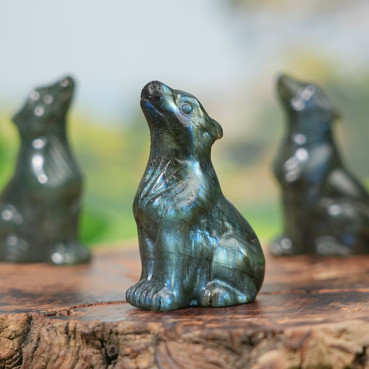 Natural Labradorite Skyward Wolf