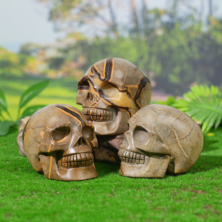 Unique, Natural Septarian Skull