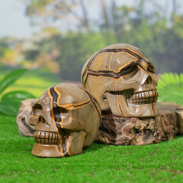 Unique, Natural Septarian Skull