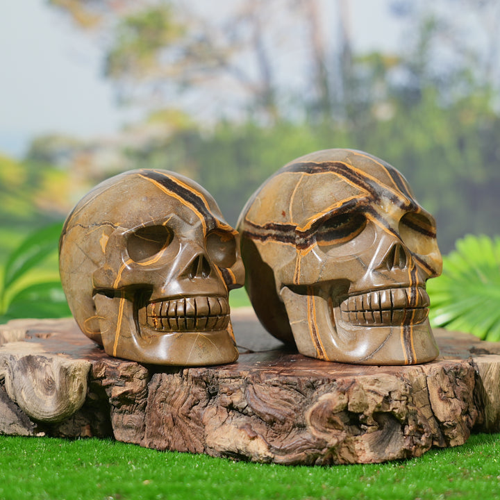 Unique, Natural Septarian Skull