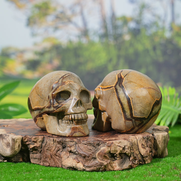 Unique, Natural Septarian Skull