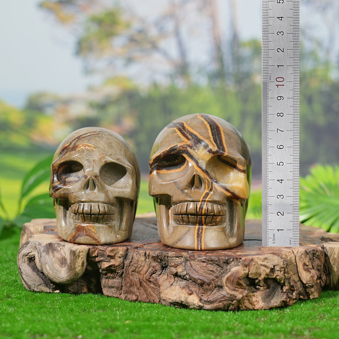 Unique, Natural Septarian Skull