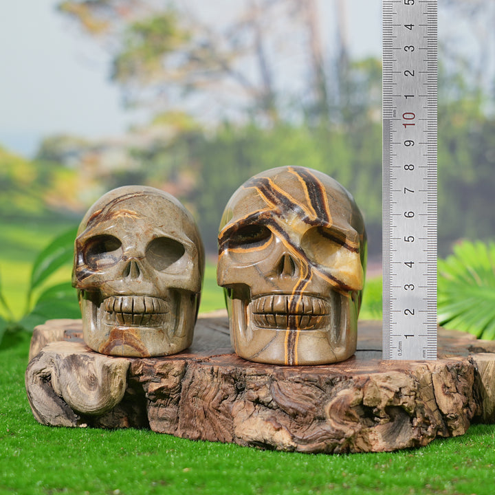 Unique, Natural Septarian Skull