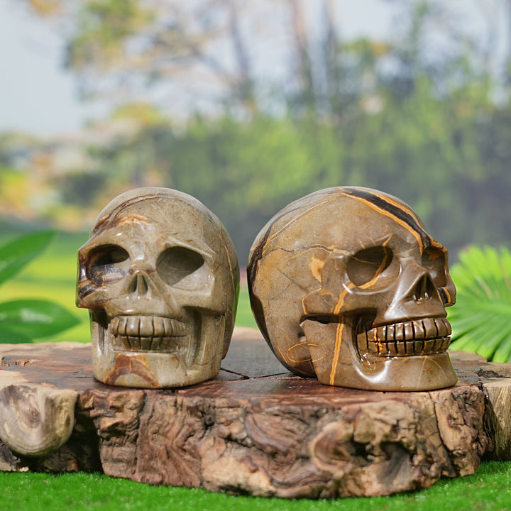 Unique, Natural Septarian Skull