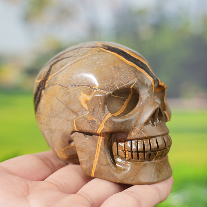 Unique, Natural Septarian Skull