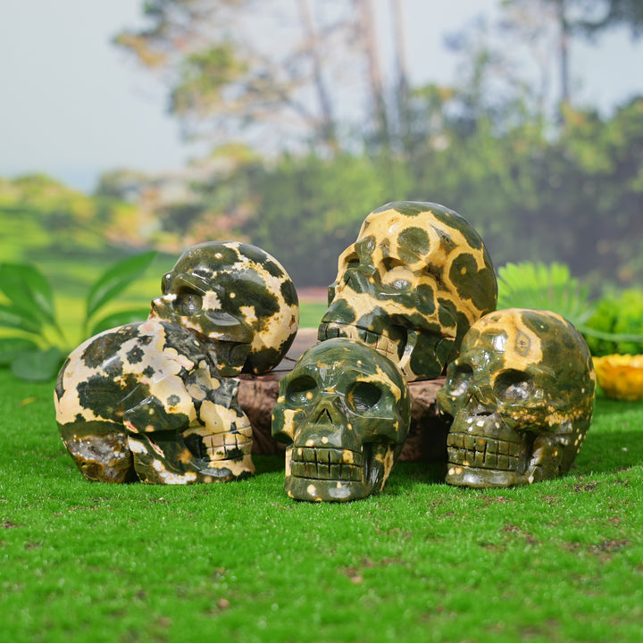 Unique,Natural Ocean Jasper Skull