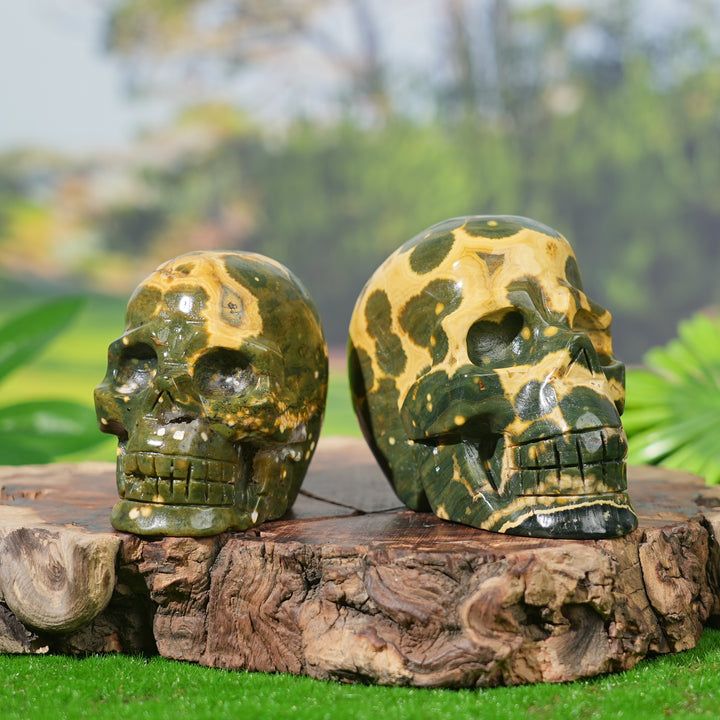 Unique,Natural Ocean Jasper Skull