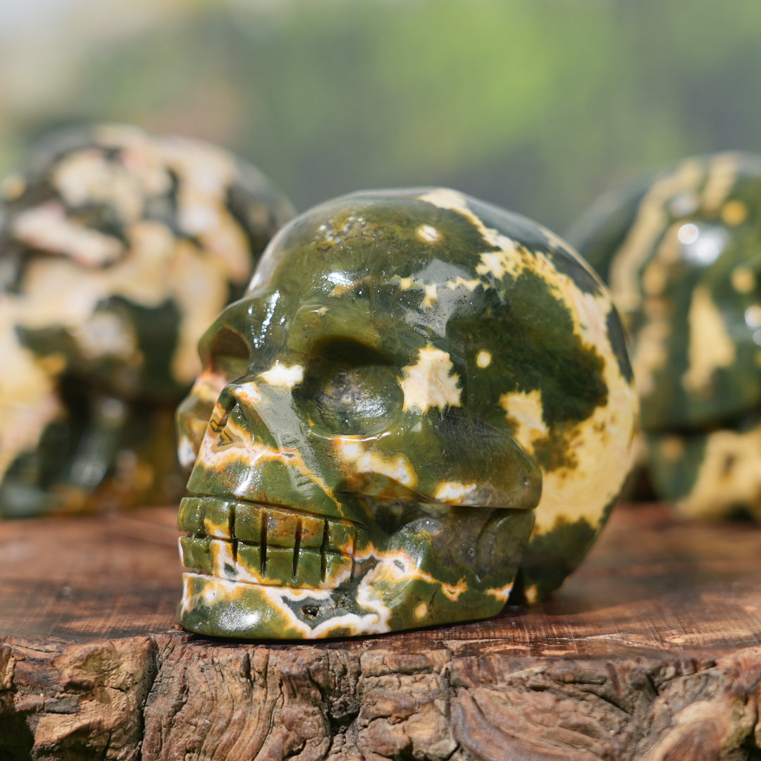Unique,Natural Ocean Jasper Skull