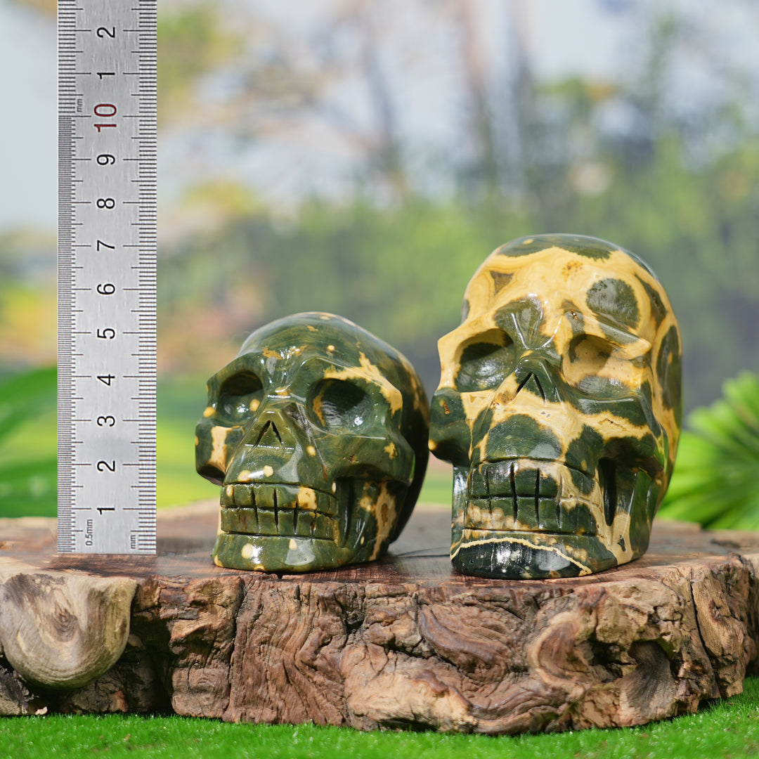 Unique,Natural Ocean Jasper Skull