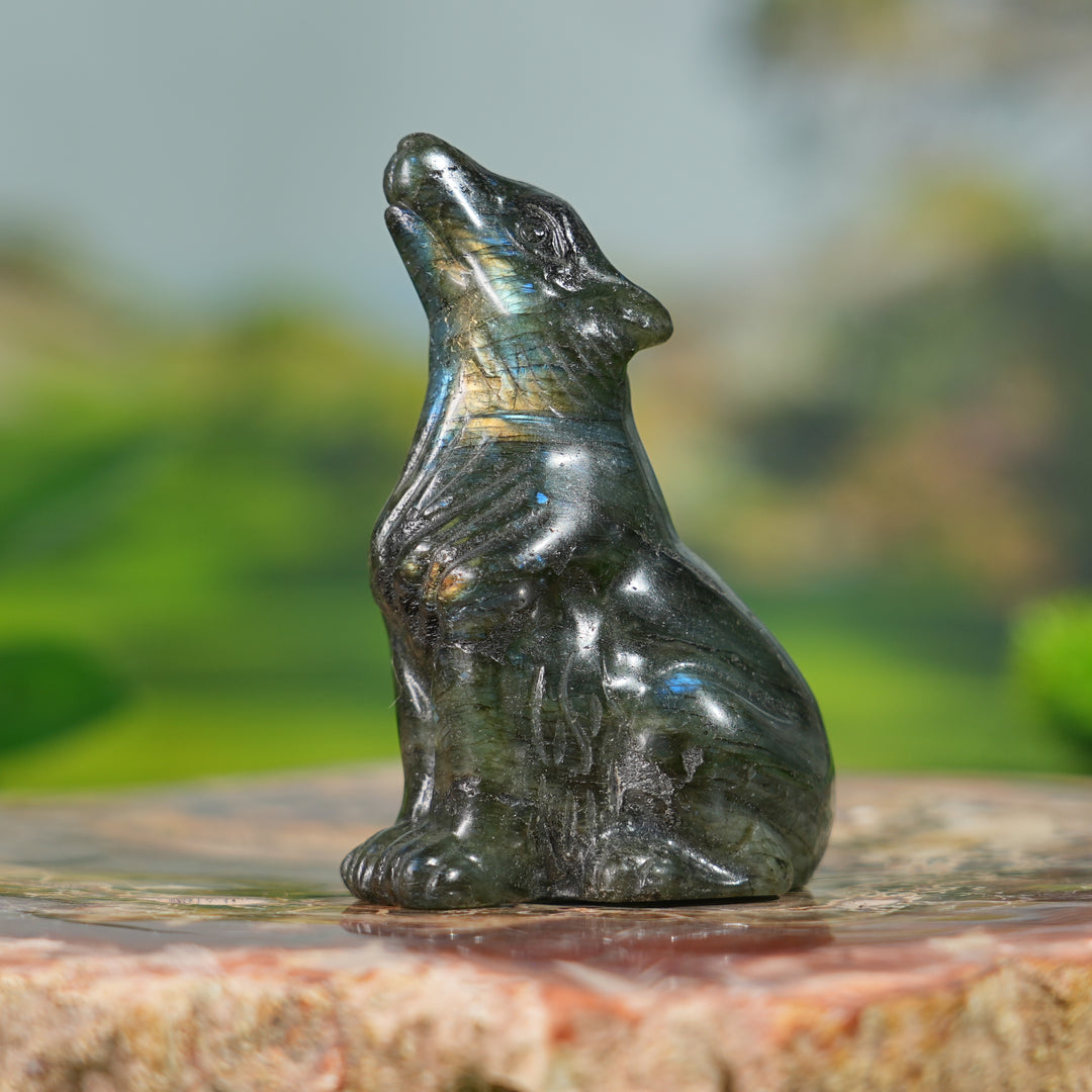 Natural Labradorite Skyward Wolf