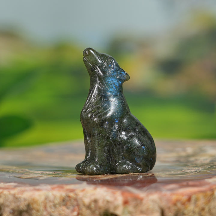 Natural Labradorite Skyward Wolf
