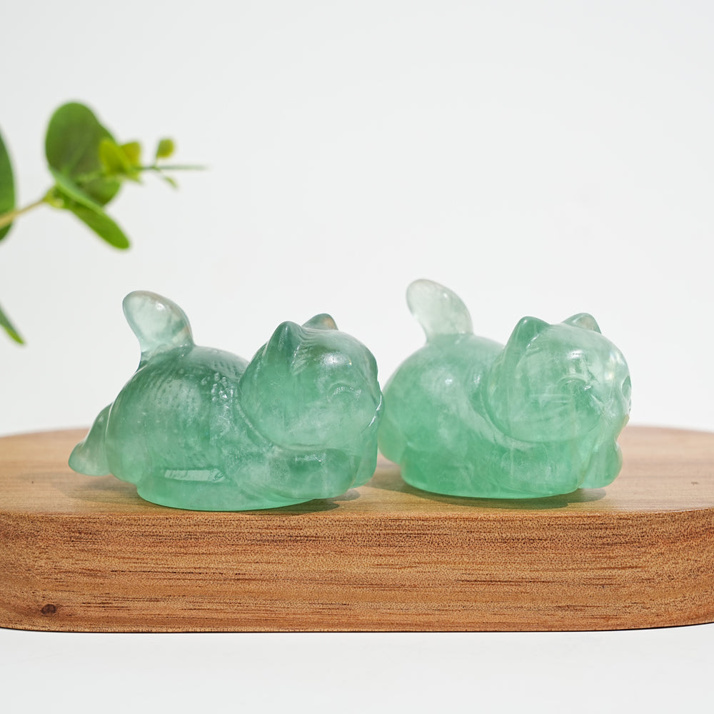 Natural Crystal Carving Chubby Coin Cat