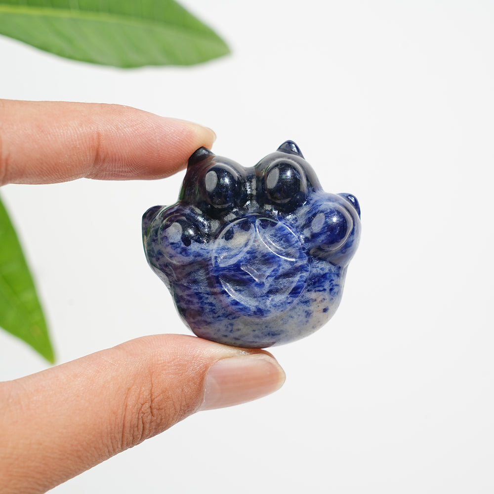 Natural Crystal Coin Cat Paw Carving