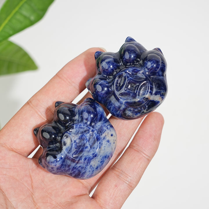 Natural Crystal Coin Cat Paw Carving