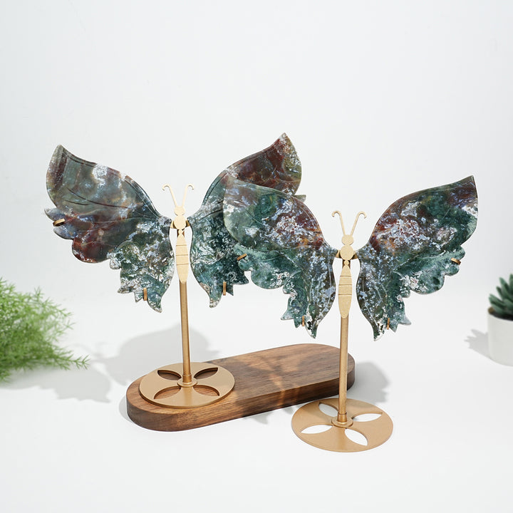Unique,Natural Ocean Jasper Butterfly Wings On Stand