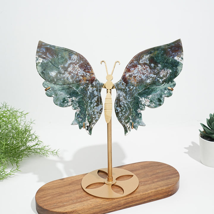 Unique,Natural Ocean Jasper Butterfly Wings On Stand