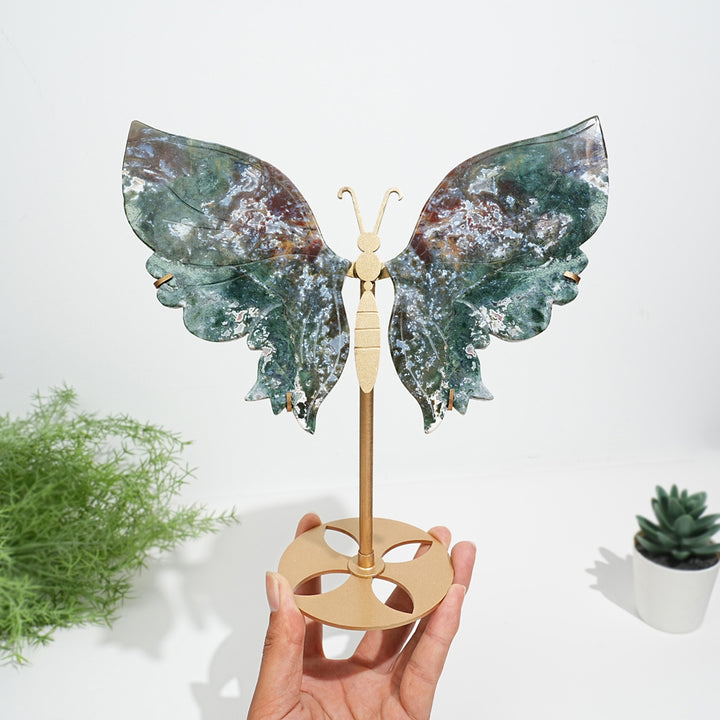 Unique,Natural Ocean Jasper Butterfly Wings On Stand