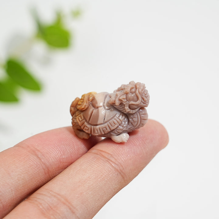 Natural Crystal Carving Alashan Agate Dragon Turtle
