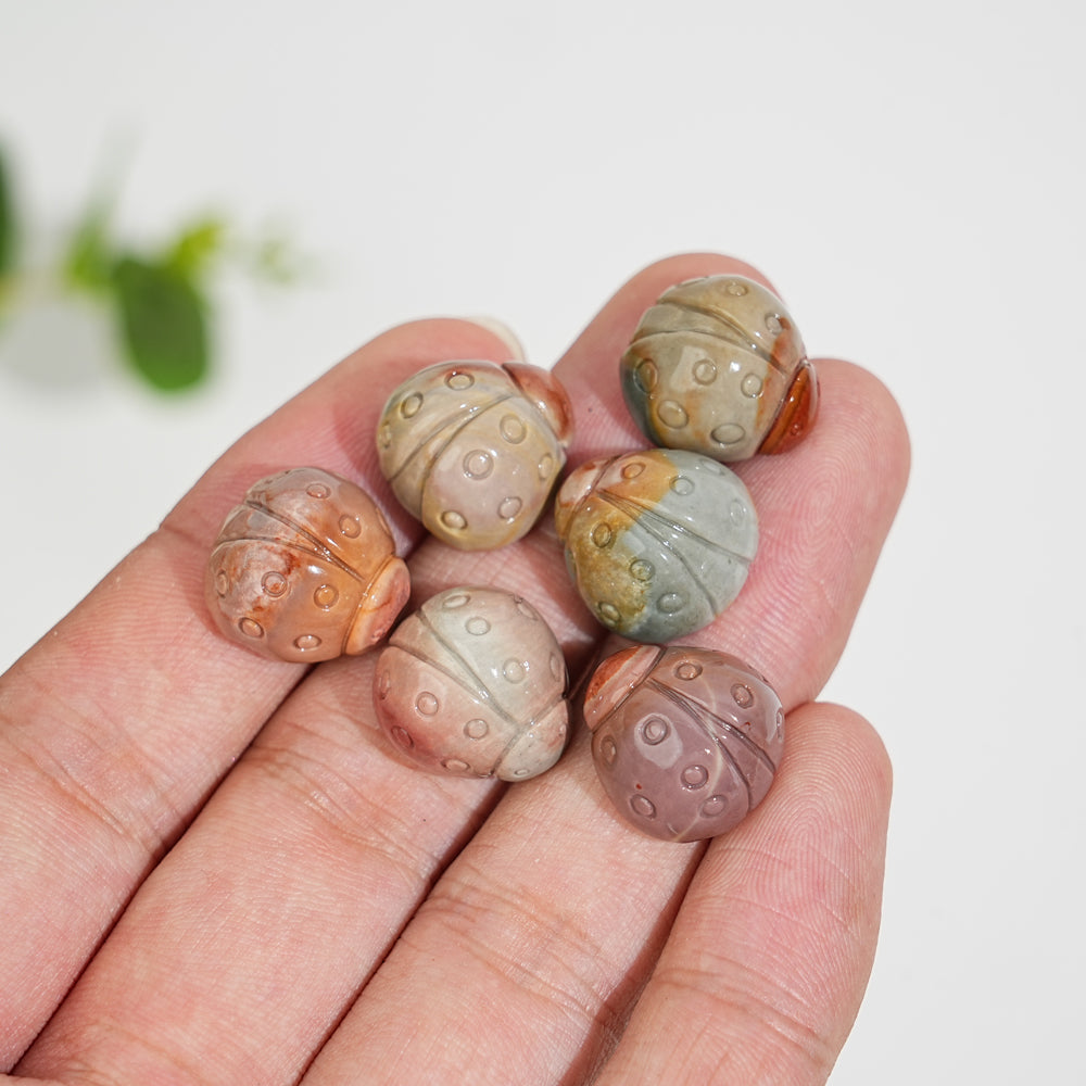 Natural Crystal Carving Alashan Agate Ladybug