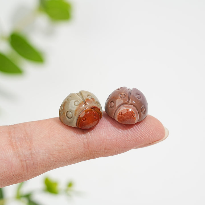 Natural Crystal Carving Alashan Agate Ladybug