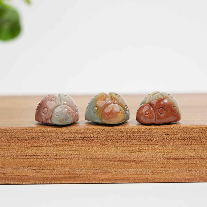 Natural Crystal Carving Alashan Agate Ladybug