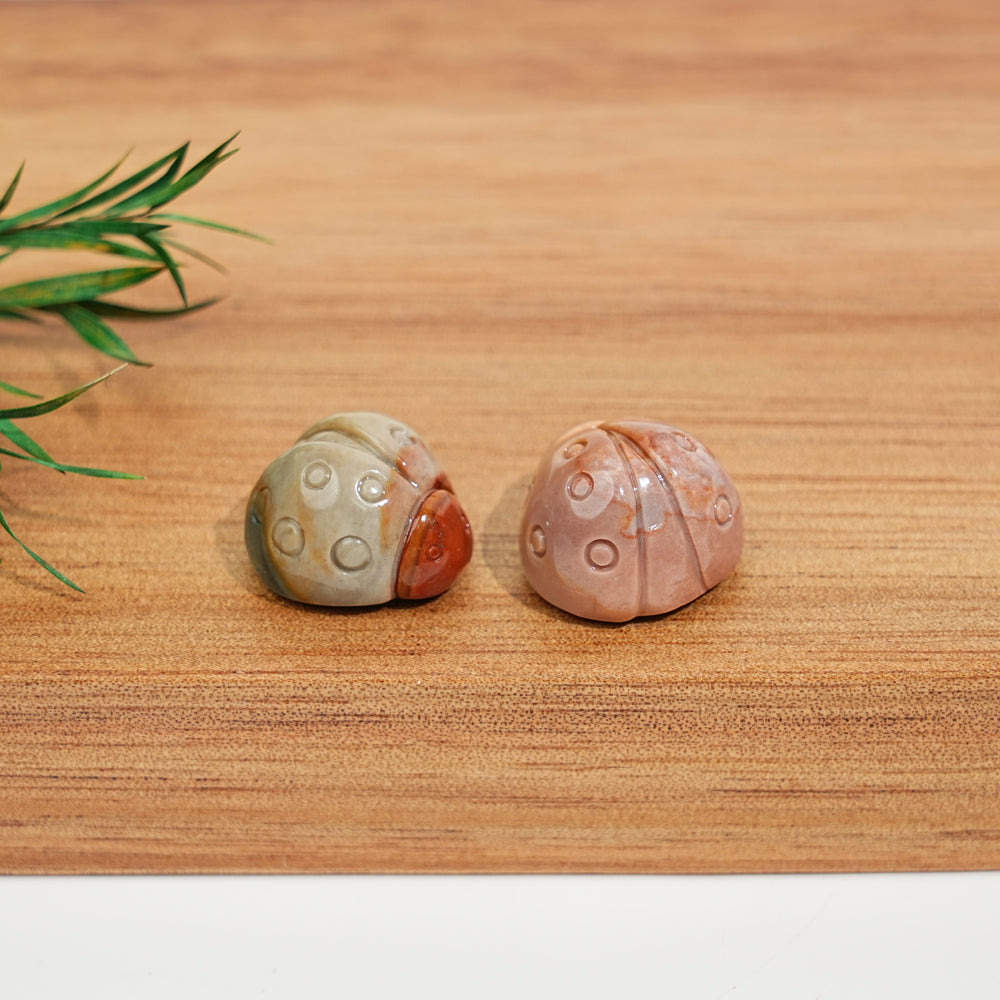 Natural Crystal Carving Alashan Agate Ladybug