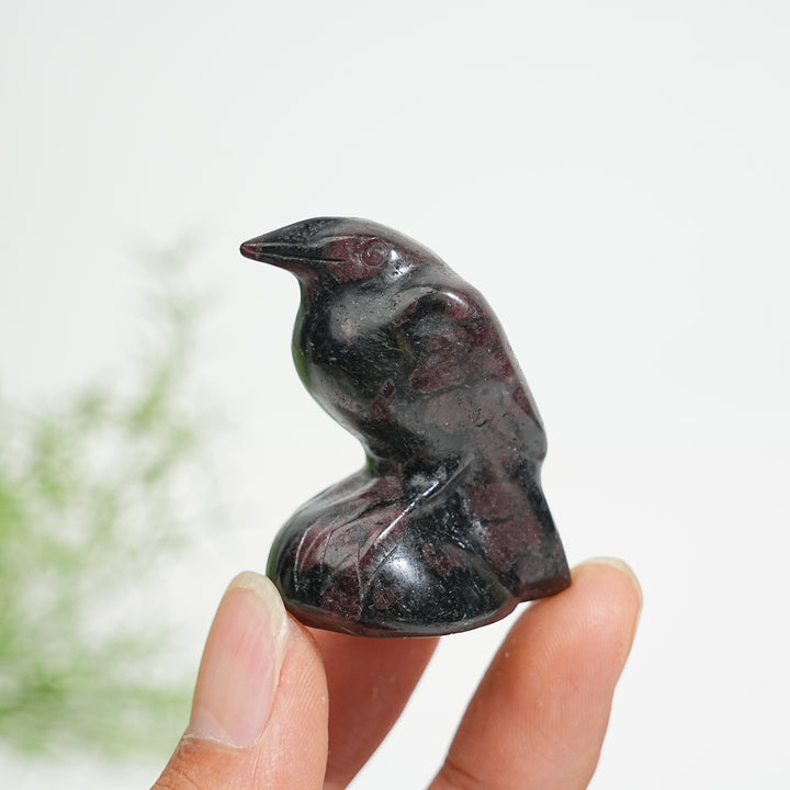 Natural Crystal Mystical Raven Carving