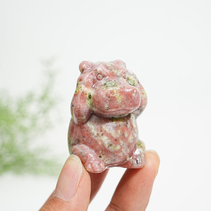 Natural Crystal Whimsical “Three No” Hippo Set