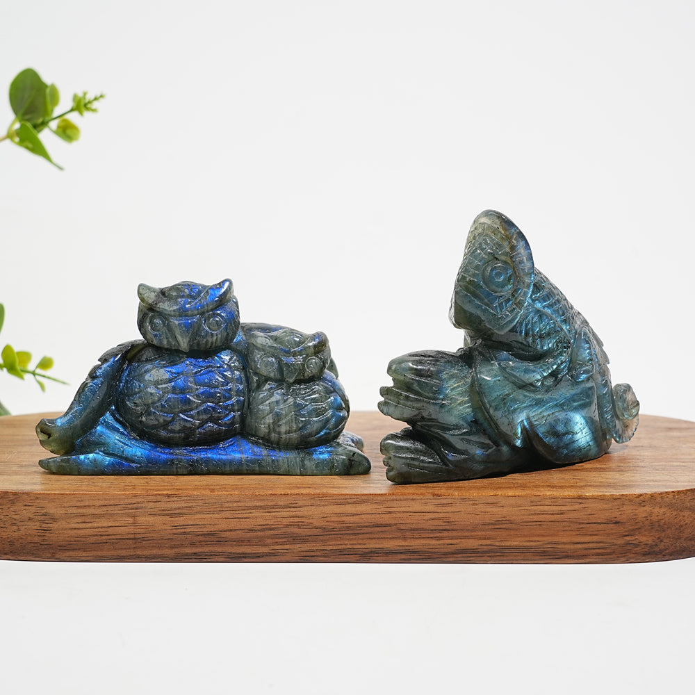 Unique,Natural Crystal Labradorite Animal Carvings