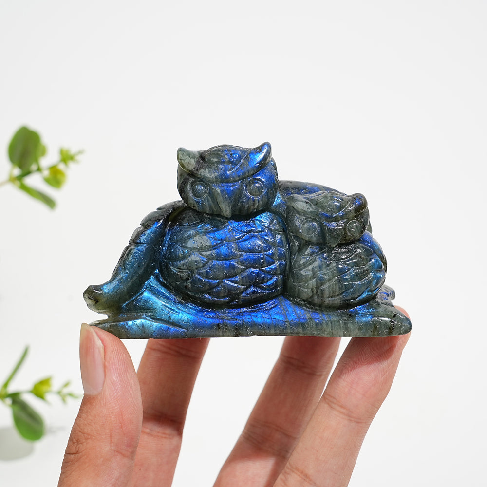 Unique,Natural Crystal Labradorite Animal Carvings